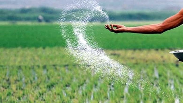 সার কিনতে সরকার ব্যয় করবে ১,৮৪৭ কোটি টাকা